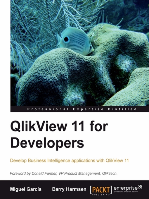 Title details for QlikView 11 for Developers by Barry Harmsen - Available